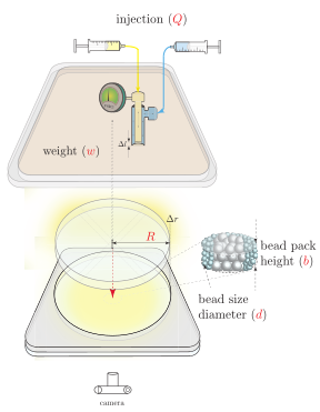 Illustration of the Hele-Shaw cell experimental set-up.